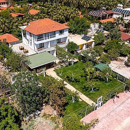 Ayris Çıralı