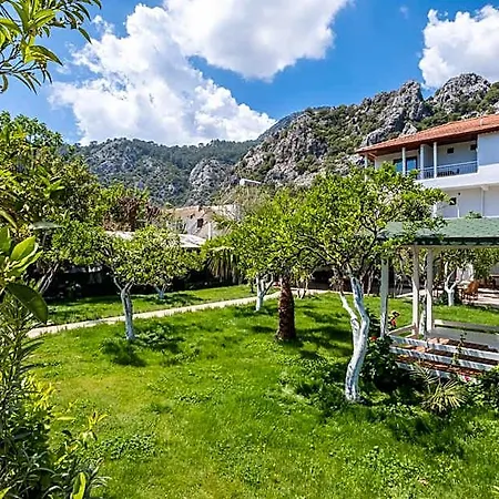 Ayris Çıralı